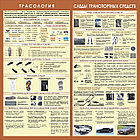 Стенды по криминалистике