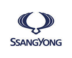 Автозапчасти, комплектующие, Автоаксессуары на SsangYong/СсангЙонг