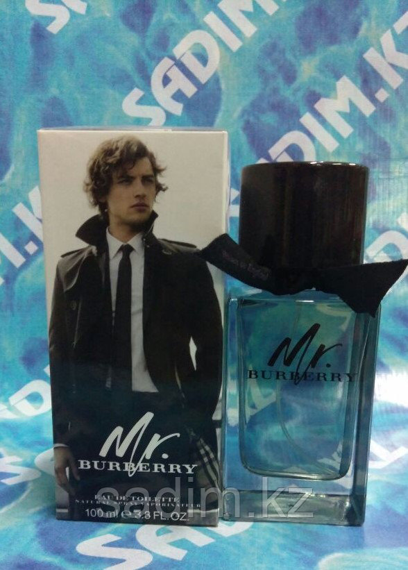Mr. Burberry ( 100 мг )