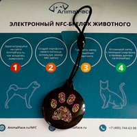 Регистрация в международной базе микрочипов 38287652 Регистрация в международной базе микрочипов