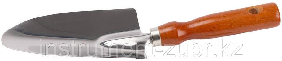 Совок GRINDA посадочный широкий из нержавеющей стали с деревянной ручкой, 290 мм, фото 2