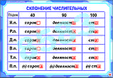 Плакаты "Числительное и местоимение", фото 5