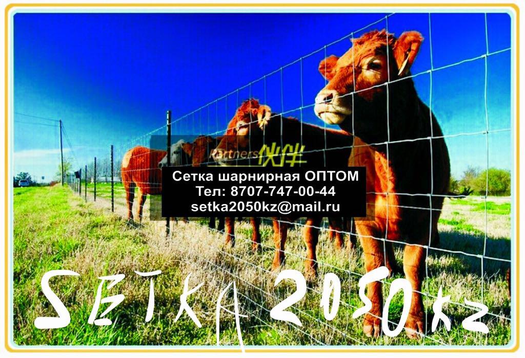 Фиксированная  сетка от производителя высота 1,45; рулон 50 м