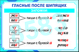 Плакаты русский язык 1 класс, фото 8