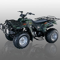 ATV. Квадрацикл