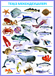 Плакаты Познание мира 1-4 класс, фото 11