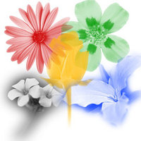 Установка Photoshop CS3,CS4, CorelDraw (X3,X4), Алматы,Photoshop,