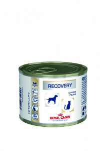 Royal Canin Recovery Роял Канин для кошек после операции (интенсивная терапия) 195 гр - фото 2 - id-p3539211