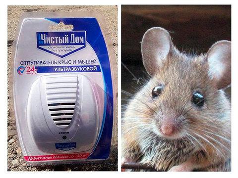 Отпугиватель крыс и мышей ультразвуковой «Чистый Дом» - фото 3 - id-p52185627