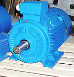 Электродвигатель АИР180S2 22 кВт 3000 об мин трехфазный, фото 2