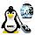 Флешка USB Emtec 4 Gb ( Пингвин ), фото 2