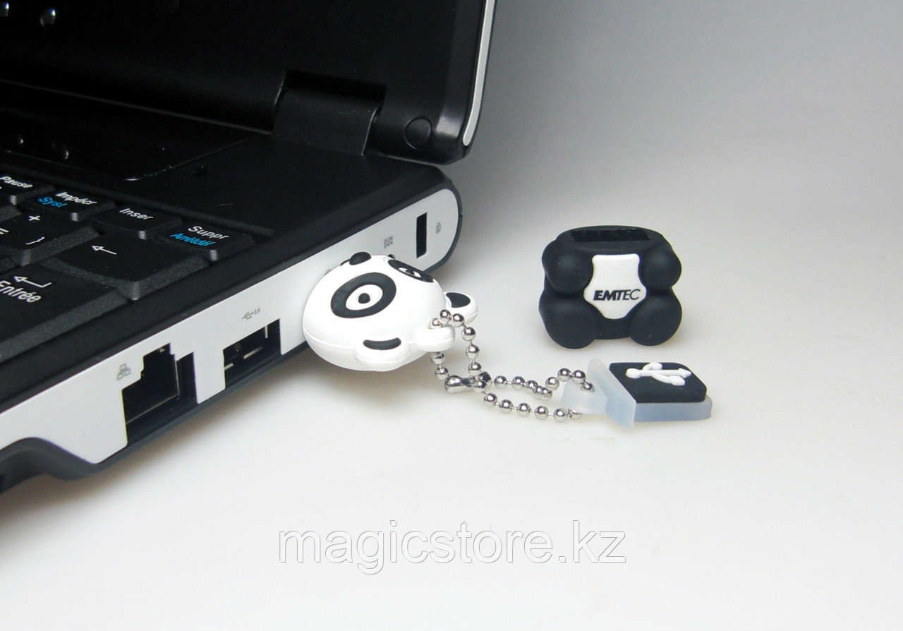 Флешка USB Emtec 8 Gb ( Панда ) - фото 4 - id-p51627899