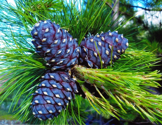 Сахнада шешініп жатқан қыздың видеосы