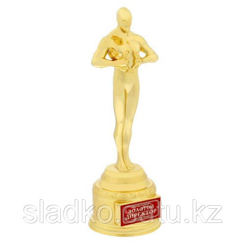 Кубок Золотой директор мужская фигура Оскар - фото 1 - id-p52384176