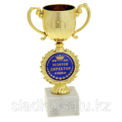 Кубок Золотой директор малый с чашей - фото 1 - id-p52384306