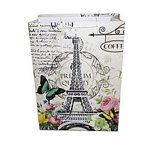 Пакет подарочный, "Париж", 52*40 см