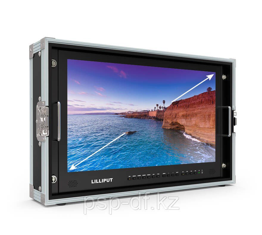 Монитор Lilliput BM230-4K Carry-On 4K UHD LED Backlit (23")