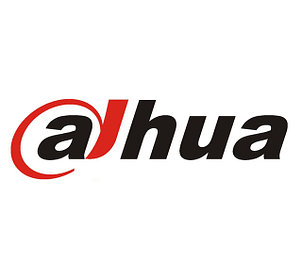 Dahua technology