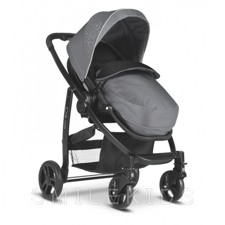 Коляска Graco EVO