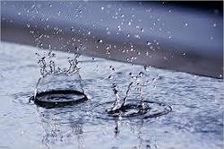 Как решить проблему дождевой воды на участке?