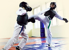 Боевые единоборства