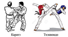 Таэквондо и каратэ