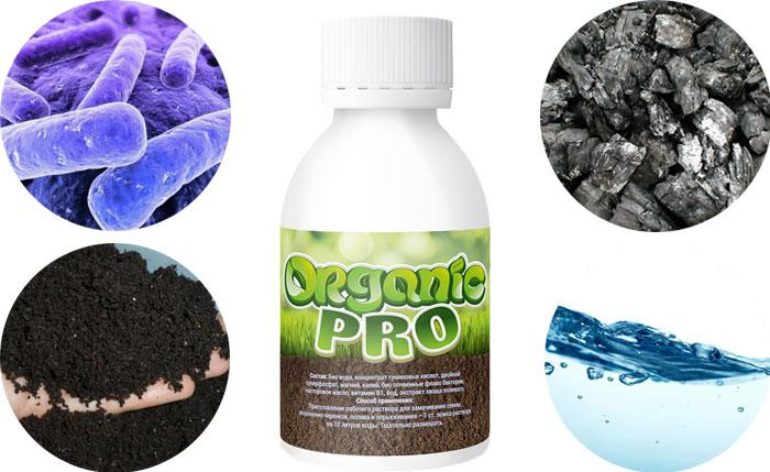 Organic Pro (Органик Про) - удобрение для повышения урожайности