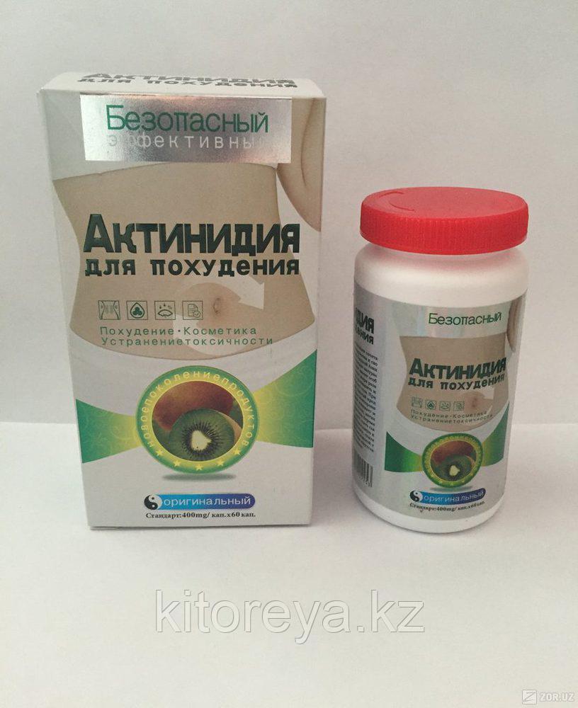 Актинидия- капсулы для похудения