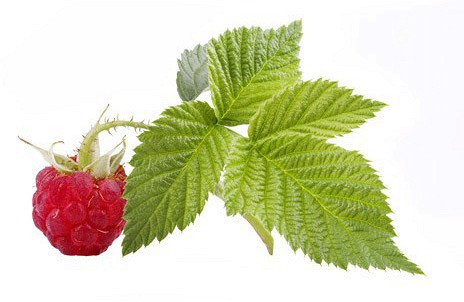 Қарт адамдармен жыныстық қатынас туралы видеолар