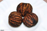 Черный орех плоды 20гр, фото 2