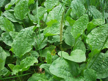 Секс порно онлайн смотреть