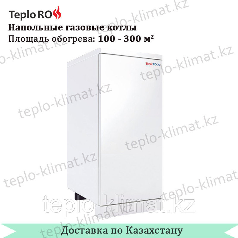 Газовый напольный котел ТеплоРосс КСГВ- 10 ЭКО