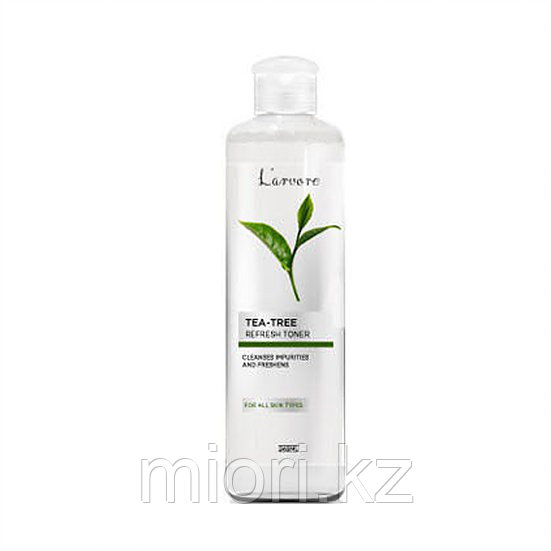 ALOE SOOTHING MOISTURE TONER