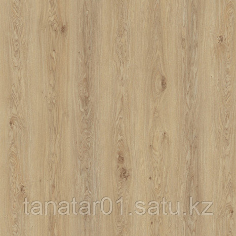 Ламинат Kronostar, коллекция Home Standard, Дуб монастырский с фаской