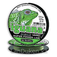 Леска рыболовная толщина 0.6 мм разрывная нагрузка 33.4 кг 100 м IGUANA зеленая (прозрачная в воде)