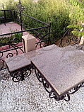 Комплекс с кованой оградой и гранитным памятником, фото 2