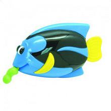 Navystar игрушка для ванной заводная Рыбка с червячком
