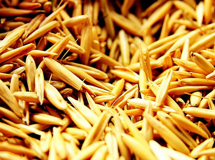 Смурфтар порно фильм