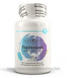 Гортензия