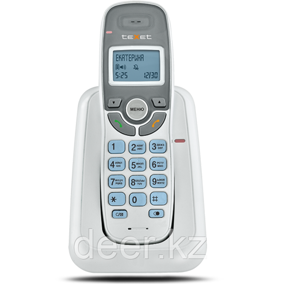 Бесшнуровой телефонный аппарат teXet TX-D6905А 