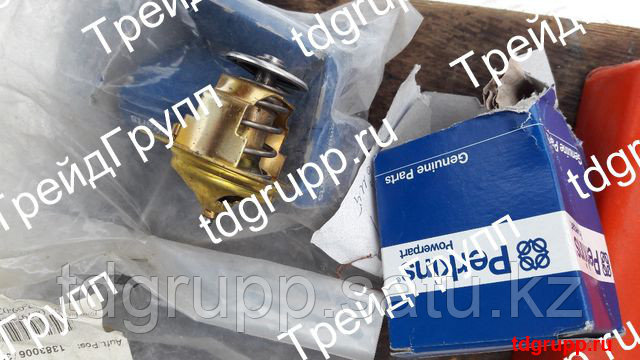 MP10198 Термостат (thermostat) Perkins
