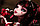 Кукла Monster High Дракулаура Skull Shores Draculaura, фото 3