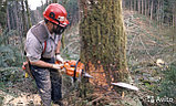 Удаление аварийных деревьев, фото 2