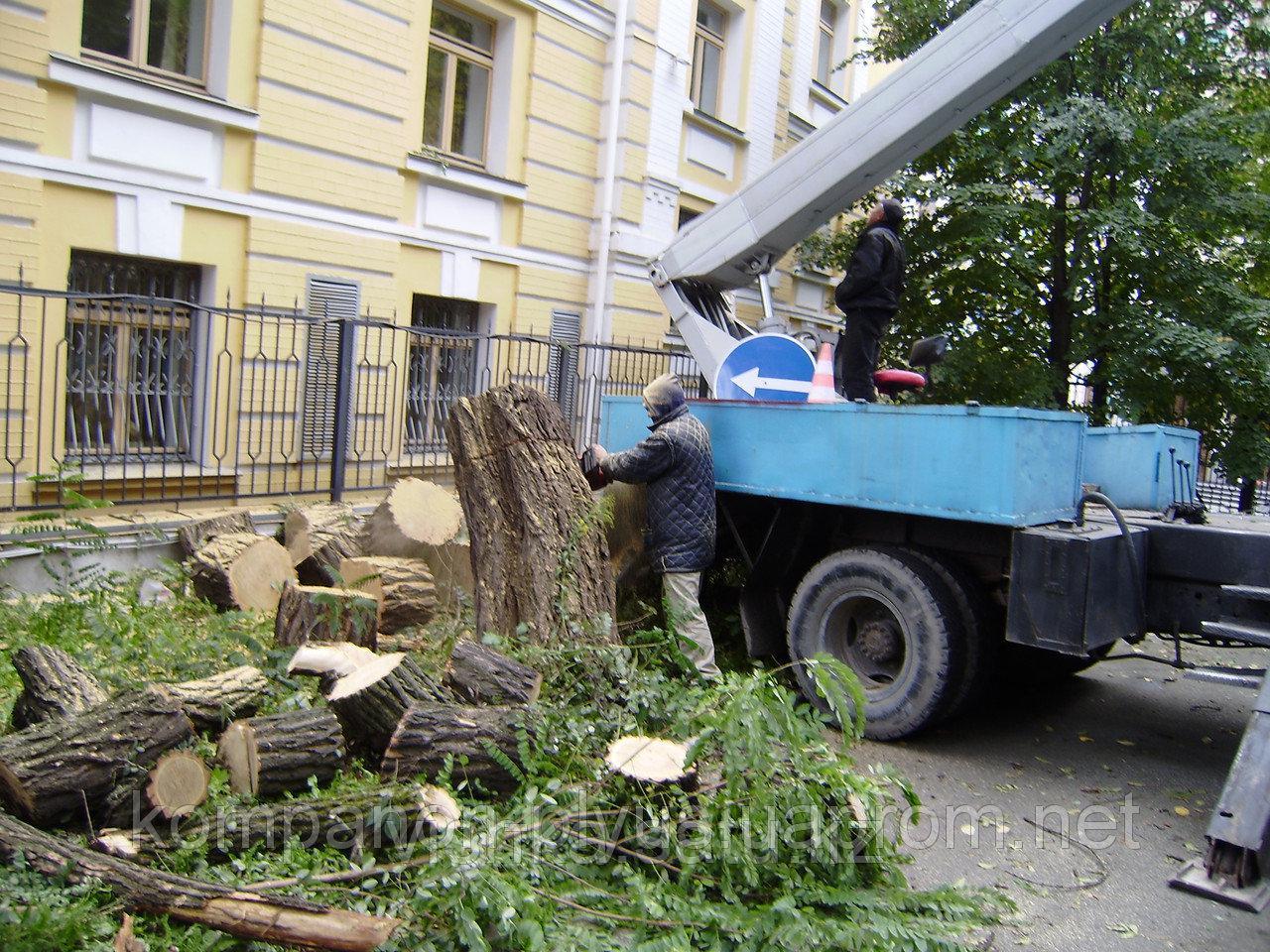 Срезка деревьев