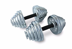 Гантели разборные хром 40кг (20+20)