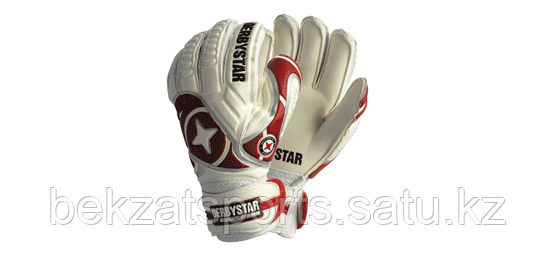 Вратарские перчатки Derbystar - фото 1 - id-p53991189