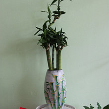Керамическая ваза для цветов "Бамбук   на белом."Высота 20-25 см