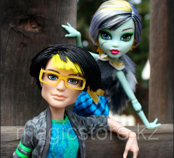 Набор кукол Monster High Джексон и Фрэнки Frankie Stein Jackson Picnik Casket for 2 - фото 7 - id-p51629338