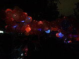 Светодиодные шары, фото 4