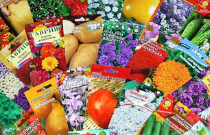 Семена и саженцы